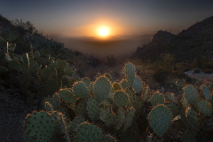 Honor Award, “Desert Sunset” by Peter Chow, Coastal Camera Club (CT) Honor Award, “Desert Sunset” by Peter Chow, Coastal Camera Club (CT)