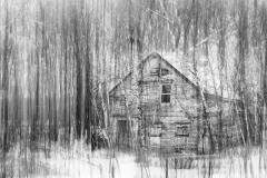 Honor Award, “This Old House” by Karen Littlefield, Eastern Maine Camera Club (ME)