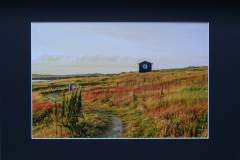 Judge Elisif Brandon's Color Choice   "Newfoundland Glow"   by Kimberly Sorrell