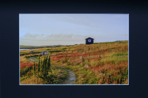 Judge Elisif Brandon's Color Choice   "Newfoundland Glow"   by Kimberly Sorrell