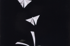 Honor Award, Monochrome  "Where Stories Take Flight"   by  Robyn Abrams