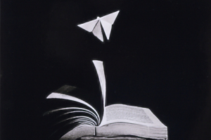 Honor Award, Monochrome  "Where Stories Take Flight"   by  Robyn Abrams