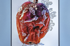Honor Award “Hoar Frost Jeweled Crab Apple” by Tom Armstrong
