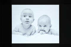 Honor Award “Did You See That?” by Jutta  Curtin