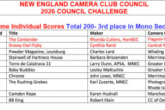 01-2026-council-challenge-Mono-Individual-scores 01-2026-council-challenge-Mono-Individual-scores