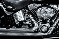 2026 NECCC Council Challenge Mono: "Chrome" by John Lowe, MNEC of Merrimack Valley Camera Club, MA 2026 NECCC Council Challenge Mono: "Chrome" by John Lowe, MNEC of Merrimack Valley Camera Club, MA