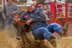 Daniel Charbonnet Photograph of the Year and Class A Color Image of the Year "Going for a Ride" by Jim Brady of Greater Lynn Photographic Association (MA)