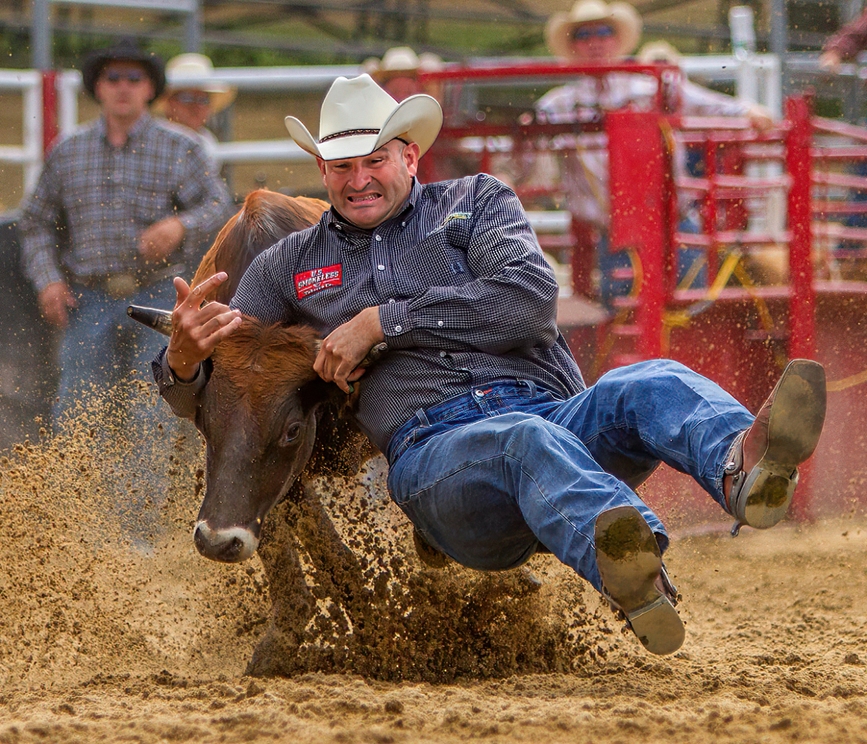 10 - 2026 NECCC Council Challenge Color Honorable Mention: "Going for a Ride" by James Brady, MNEC of Greater Lynn Photographic Association, MA