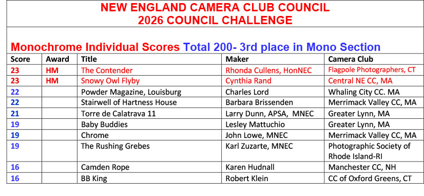 M01-2026-council-challenge-Mono-Individual-scores