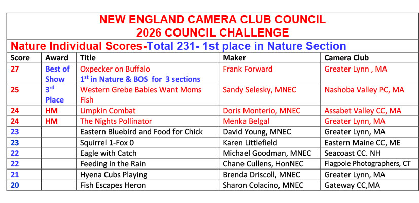 N01-2026-council-challenge-Nature-Individual-scores