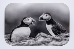 Judge Raj Alamanda's Monochrome Choice   "Cliffside Courtship in the Rain"   by Karen Fitzgerald of Stony Brook Camera Club (MA)