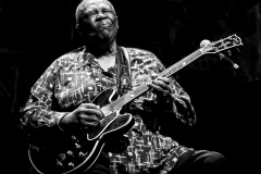 First Place "BB King" by Robert Klein of Oxford Greens Camera Club (CT)