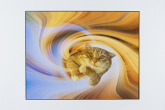Honor Award “Time Traveller” by Jutta Curtin