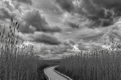 30-1371_BNHManchester2026-04-11Mround4TurnerSally-Dramatic-Sky-over-Parker-River