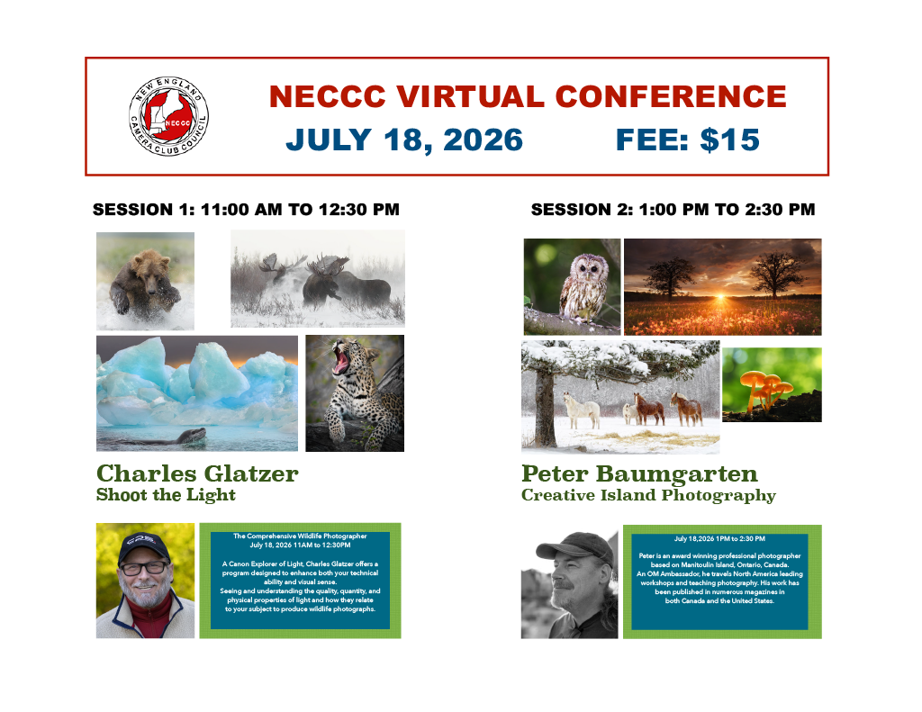 NECCC 2026 Virtual Conference